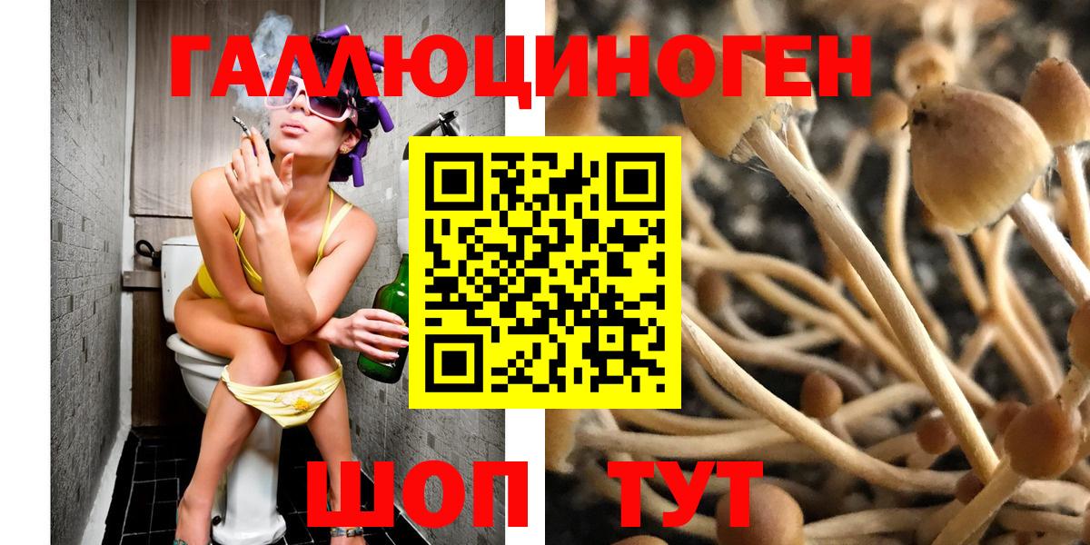 Галлюциногенные грибы мухоморы Михайловск